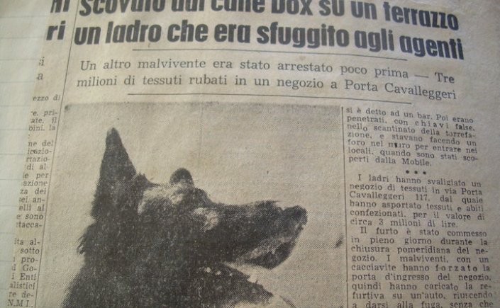 Zeitungsartikel mit dem Polizeihund Dox, wie er einem Räuber erwischt