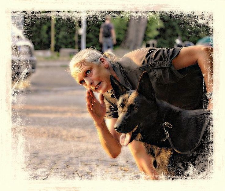 astrid cordova mit hunde in stadthunde kurse