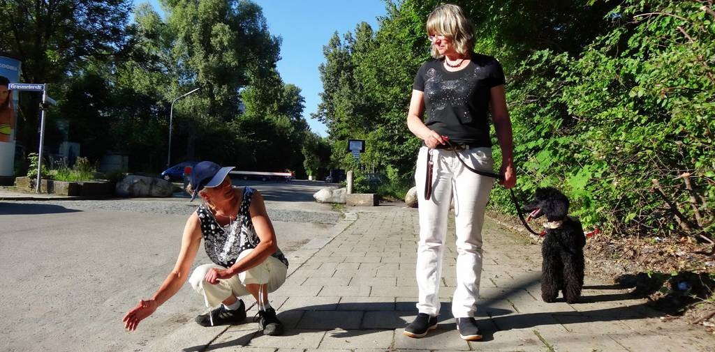 astrid cordova mit hunde in stadthunde kurse